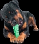 Spazzola dentale per cani Morsino